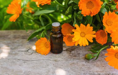 Tıbbi bitki takvimi homeopati. Seçici odaklanma. Doğa.