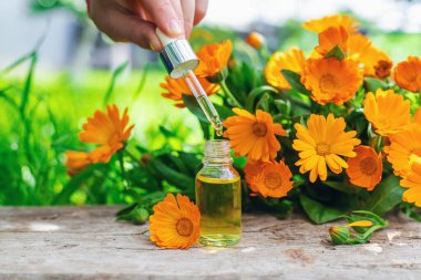 Tıbbi bitki takvimi homeopati. Seçici odaklanma. Doğa.