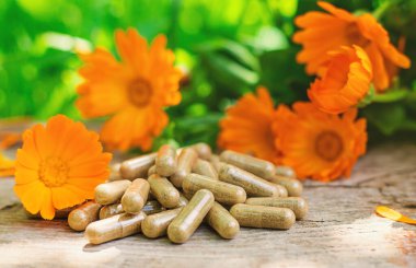 Tıbbi bitki takvimi homeopati. Seçici odaklanma. Doğa.