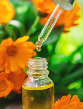 Tıbbi bitki takvimi homeopati. Seçici odaklanma. Doğa.