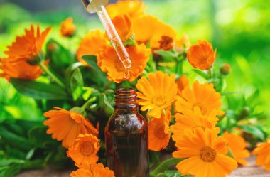 Tıbbi bitki takvimi homeopati. Seçici odaklanma. Doğa.