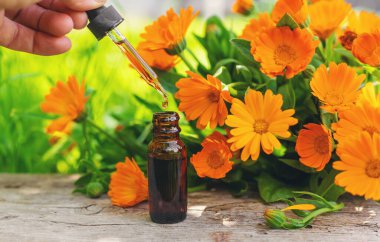 Tıbbi bitki takvimi homeopati. Seçici odaklanma. Doğa.