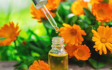 Tıbbi bitki takvimi homeopati. Seçici odaklanma. Doğa.