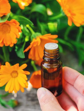 Tıbbi bitki takvimi homeopati. Seçici odaklanma. Doğa.