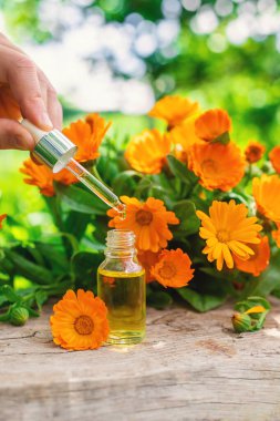 Tıbbi bitki takvimi homeopati. Seçici odaklanma. Doğa.