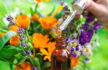 Bitkilerden ve çiçeklerden oluşan esaslı bir yağ. Seçici odaklanma. Doğa.