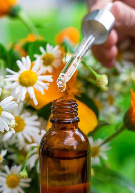 Bitkilerden ve çiçeklerden oluşan esaslı bir yağ. Seçici odaklanma. Doğa.