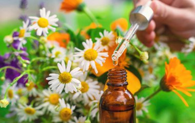 Bitkilerden ve çiçeklerden oluşan esaslı bir yağ. Seçici odaklanma. Doğa.