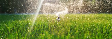 Otomatik çim sulama sistemi. Seçici odaklanma. Doğa.