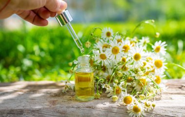 Alternatif tıp ve kozmetik ürünleri için papatya çayı. Seçici odaklanma. Doğa.