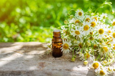 Alternatif tıp ve kozmetik ürünleri için papatya çayı. Seçici odaklanma. Doğa.