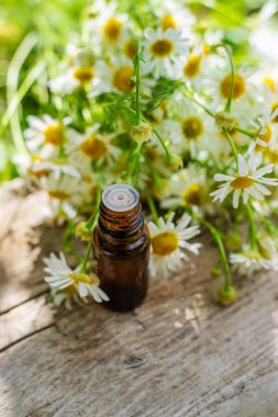 Alternatif tıp ve kozmetik ürünleri için papatya çayı. Seçici odaklanma. Doğa.