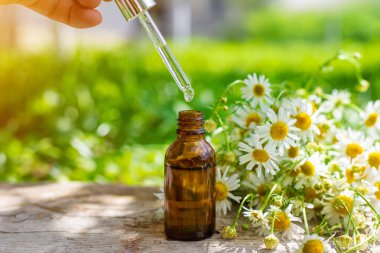 Alternatif tıp ve kozmetik ürünleri için papatya çayı. Seçici odaklanma. Doğa.