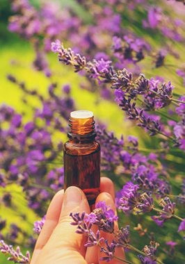 Lavanta yağı ve takviyeler. Seçici odaklanma. Doğa.