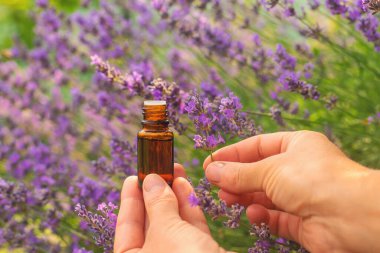 Lavanta yağı ve takviyeler. Seçici odaklanma. Doğa.