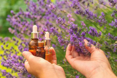 Lavanta yağı ve takviyeler. Seçici odaklanma. Doğa.