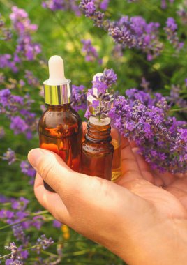 Lavanta yağı ve takviyeler. Seçici odaklanma. Doğa.