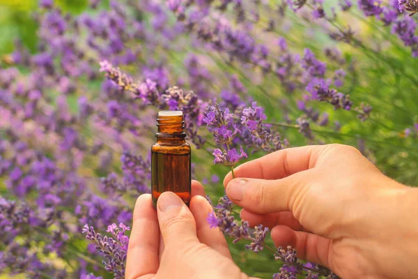 Lavanta yağı ve takviyeler. Seçici odaklanma. Doğa.