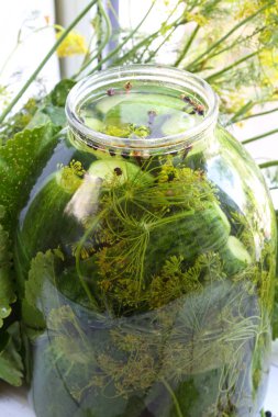 Hafifçe Tuzlu salatalık hazırlanması