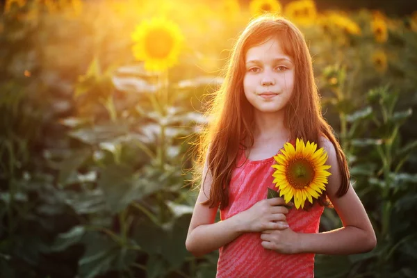 Chica Sostiene Girasol — Foto de Stock