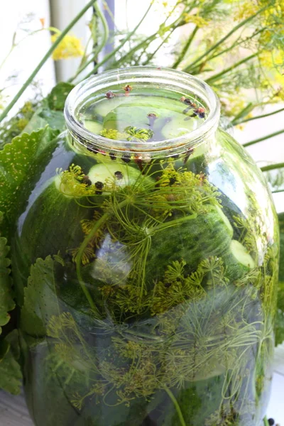 Bir cam kavanoza hafifçe Tuzlu salatalık