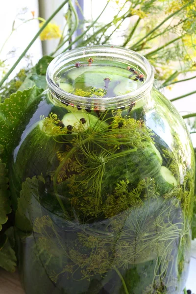 Bir cam kavanoza hafifçe Tuzlu salatalık