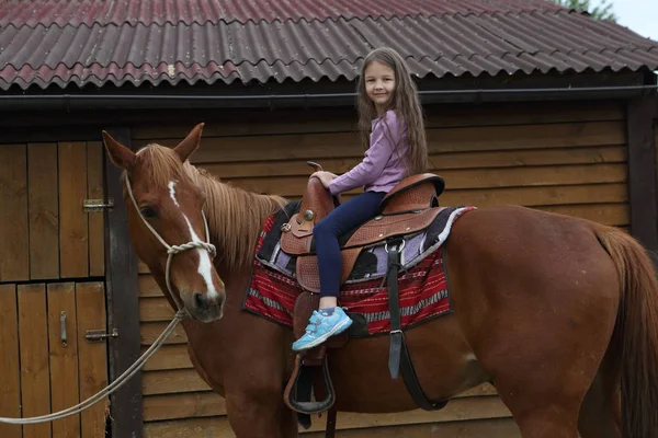 Little Girl Sitting Red Horse — Stock Photo, Image