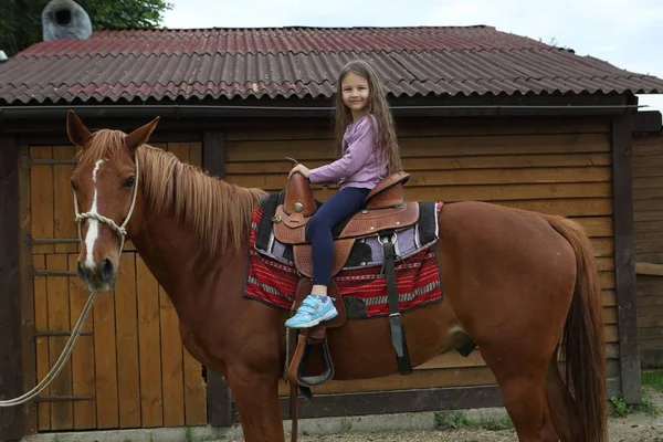 Маленькая Девочка Сидит Красной Лошади — стоковое фото
