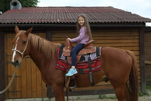 Petite Fille Est Assise Sur Cheval Rouge — Photo