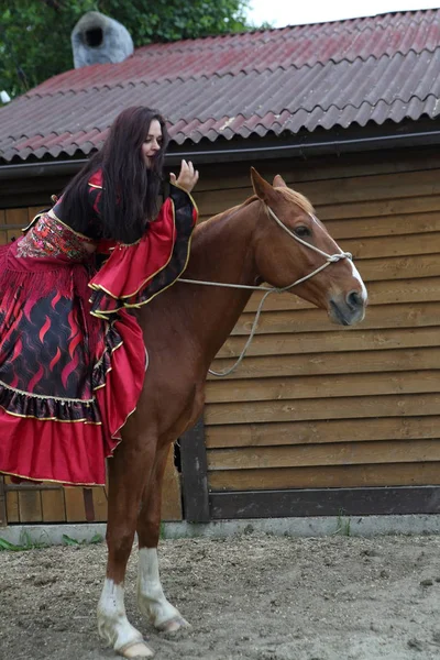 Девушка Яркой Одежде Сидит Лошади Цыган Коне — стоковое фото