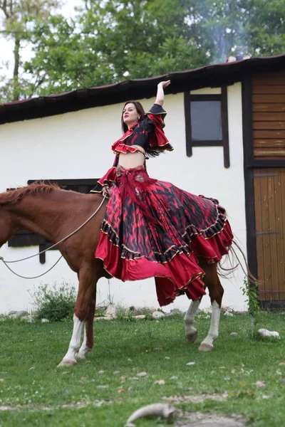 Beautiful Gypsy Bright Clothes Horse — Stock Photo, Image