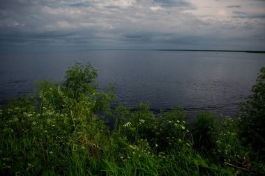 Kıyıdan güzel manzara nehir