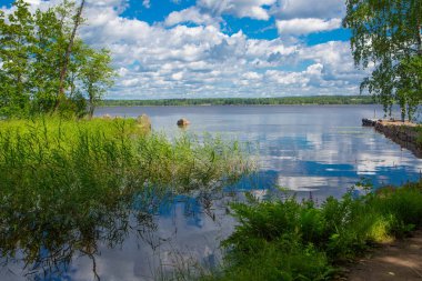 Peyzaj park. Doğada bir peyzaj park