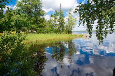 Peyzaj park. Doğada bir peyzaj park
