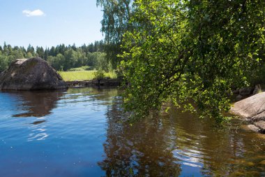 Peyzaj park. Doğada bir peyzaj park