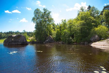 Peyzaj park. Doğada bir peyzaj park