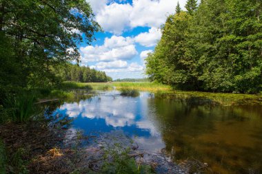 Peyzaj park. Doğada bir peyzaj park