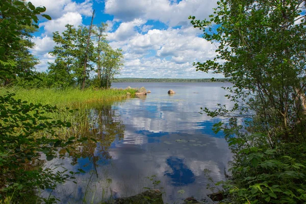 Peyzaj park. Doğada bir peyzaj park