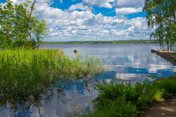 Peyzaj park. Doğada bir peyzaj park