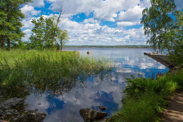 Peyzaj park. Doğada bir peyzaj park