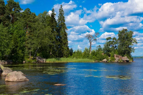Peyzaj park. Doğada bir peyzaj park