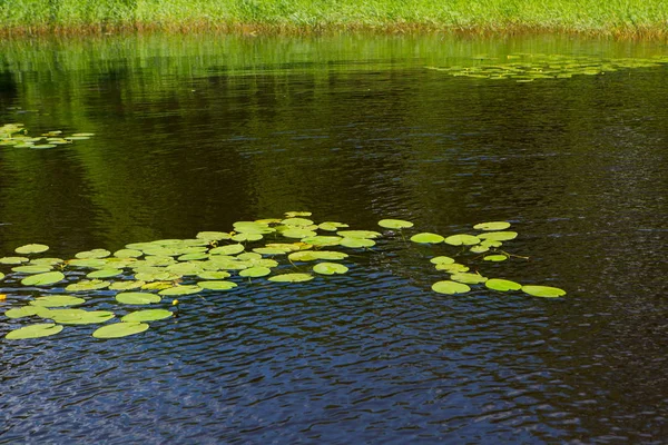 Landschapspark Natuur Een Landschapspark — Stockfoto