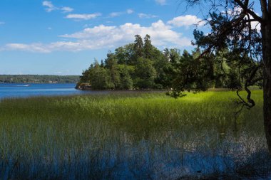 Peyzaj park. Gölde bir peyzaj park