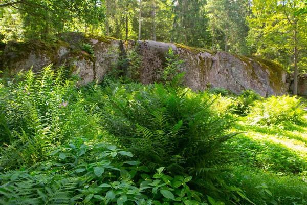 Chráněná Krajinná Oblast Příroda Chko — Stock fotografie