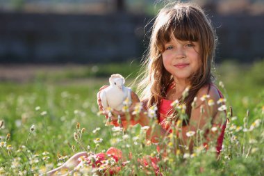 küçük kız canlı bir beyaz güvercin tutan
