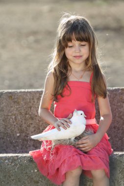 Kırmızı elbiseli kız canlı bir beyaz güvercin tutan