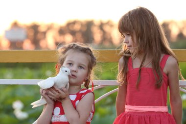 kırmızı elbiseler canlı bir güvercin tutan iki kız