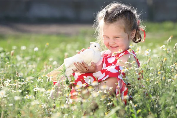 Mała Dziewczynka Trzymająca Gołąbka Biały Żywo — Zdjęcie stockowe