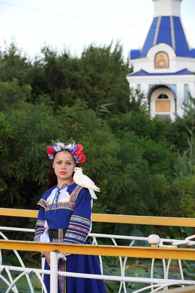 beyaz bir güvercin çiçek çelenk kız tutar