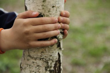 Çocuğun elleri genç bir huş bagajında sıktı